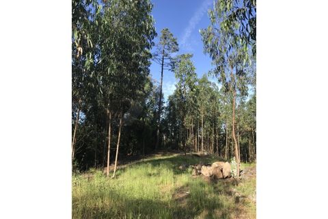 Helårsgrund i Ponte de Lima, Viana do Castelo, Ponte de Lima - € 120.000 | Ref: MDS4092 - foto 2
