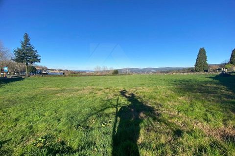 Landejendom i Bico e Cristelo, Viana do Castelo, Bico e Cristelo - € 180.000 | Ref: MDS4135 - foto 9
