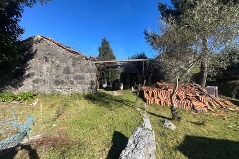 Herregård i Bico e Cristelo, Viana do Castelo, Bico e Cristelo - € 59 000 | Ref: MDS4131 - foto 4