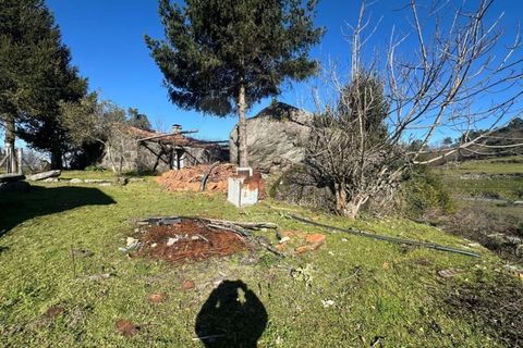 Herregård i Bico e Cristelo, Viana do Castelo, Bico e Cristelo - € 59 000 | Ref: MDS4131 - foto 6