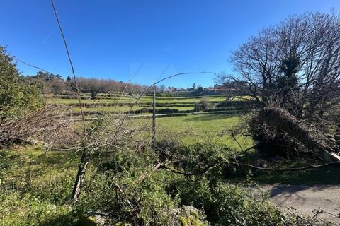 Herregård i Bico e Cristelo, Viana do Castelo, Bico e Cristelo - € 59 000 | Ref: MDS4131 - foto 12
