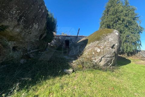 Herregård i Bico e Cristelo, Viana do Castelo, Bico e Cristelo - € 59 000 | Ref: MDS4131 - foto 13