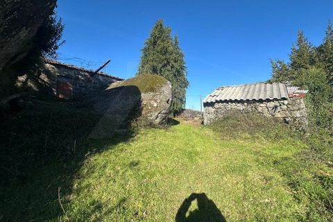 Herregård i Bico e Cristelo, Viana do Castelo, Bico e Cristelo - € 59 000 | Ref: MDS4131 - foto 14