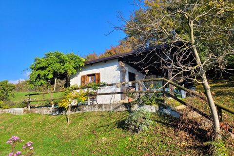 Erhvervsejendom i Cavedine, Trento, Cavedine - € 176.000 | Ref: 112 - 1 - foto 8