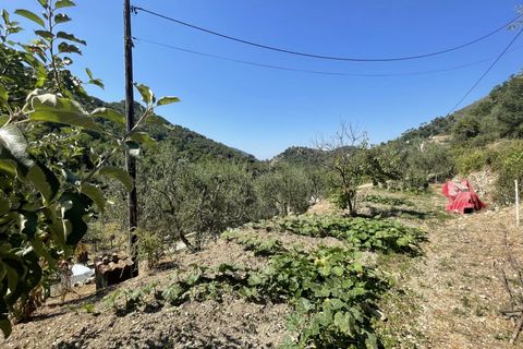 Villa a Peille, Alpes-Maritimes, Peille - € 231.000 | Ref: 3609 - foto 14