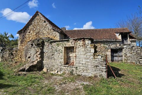 Villa a Savignac, Aveyron, Savignac - € 55.000 | Ref: 12032354346 - foto 2