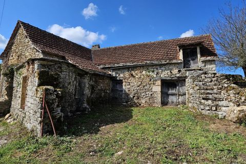 Villa a Savignac, Aveyron, Savignac - € 55.000 | Ref: 12032354346 - foto 3