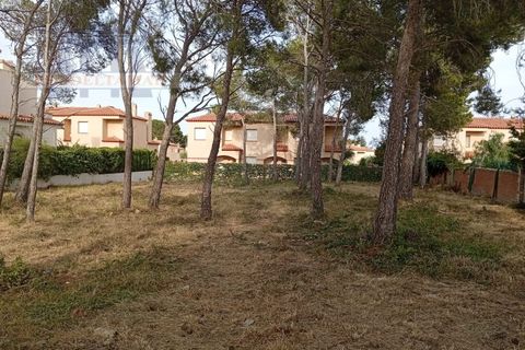 Grundstück in Les Planes Del Rei, Tarragona - Foto 5