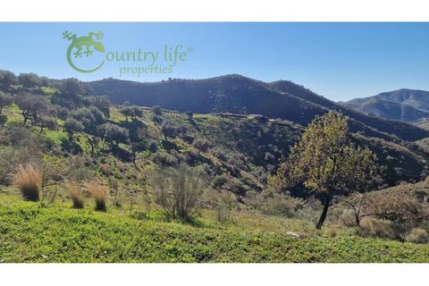 Villa a Sedella, Malaga, Sedella - € 695.000 | Ref: SED008 - foto 34