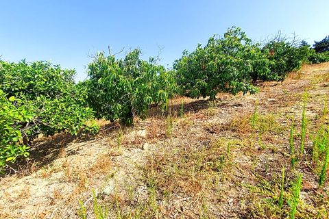 Masia a Sotogrande, Cadiz, Sotogrande - € 600.000 | Ref: RZZ002F3 - foto 17