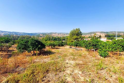 Masia a Sotogrande, Cadiz, Sotogrande - € 600.000 | Ref: RZZ002F3 - foto 18