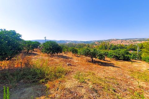 Masia a Sotogrande, Cadiz, Sotogrande - € 600.000 | Ref: RZZ002F3 - foto 19