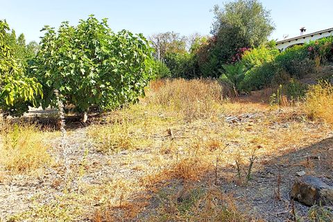Masia a Sotogrande, Cadiz, Sotogrande - € 600.000 | Ref: RZZ002F3 - foto 20