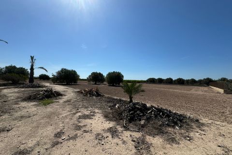 Casa rural em La Marina, Alicante - foto 4
