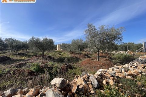 Villa a Ostuni, Brindisi, Ostuni - € 350.000 | Ref: 606 - foto 40
