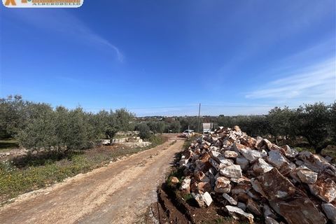 Villa a Ostuni, Brindisi, Ostuni - € 350.000 | Ref: 606 - foto 37