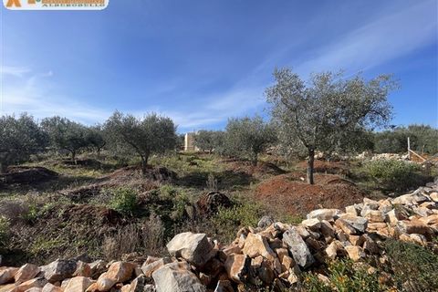 Villa a Ostuni, Brindisi, Ostuni - € 350.000 | Ref: 606 - foto 43