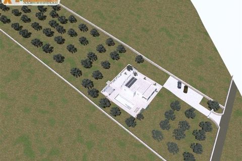 Villa a Ostuni, Brindisi, Ostuni - € 350.000 | Ref: 606 - foto 6