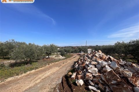 Villa a Ostuni, Brindisi, Ostuni - € 350.000 | Ref: 606 - foto 39