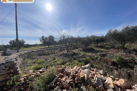 Villa a Ostuni, Brindisi, Ostuni - € 350.000 | Ref: 606 - foto 41