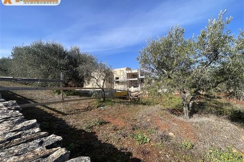 Villa a Ostuni, Brindisi, Ostuni - € 350.000 | Ref: 606 - foto 42
