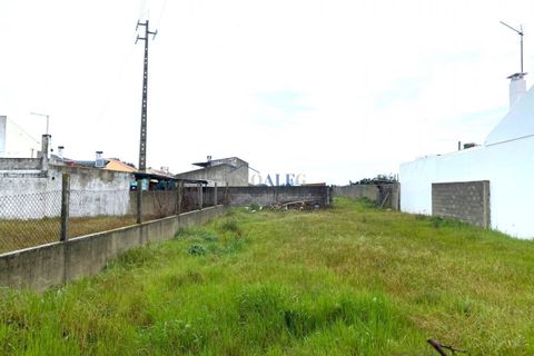 Helårsgrund i Alpiarca, Santarem, Alpiarca - € 45.000 | Ref: ALFG61_FM02 - foto 4