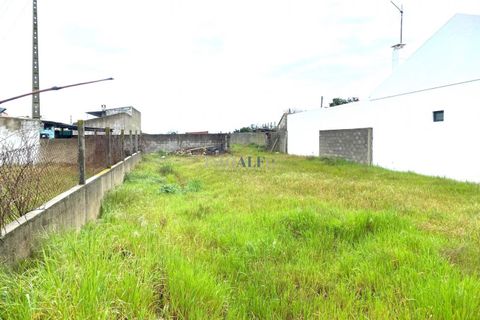 Helårsgrund i Alpiarca, Santarem, Alpiarca - € 45.000 | Ref: ALFG61_FM02 - foto 5