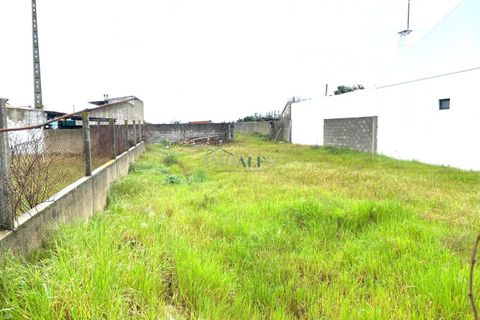 Helårsgrund i Alpiarca, Santarem, Alpiarca - € 45.000 | Ref: ALFG61_FM02 - foto 9