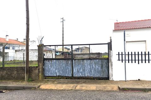 Helårsgrund i Alpiarca, Santarem, Alpiarca - € 45.000 | Ref: ALFG61_FM02 - foto 11