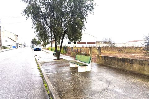Helårsgrund i Alpiarca, Santarem, Alpiarca - € 45.000 | Ref: ALFG61_FM02 - foto 13