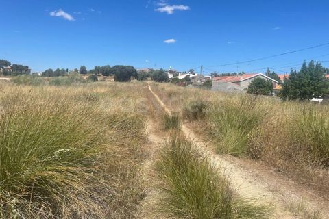 Terreno en Avis, Portalegre, Avis - € 65.000 | Ref: ST96856AC - photo 1