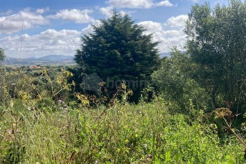 Helårsgrund i Sintra, Lisbon, Sintra - € 500.000 | Ref: TER_2171 - foto 11
