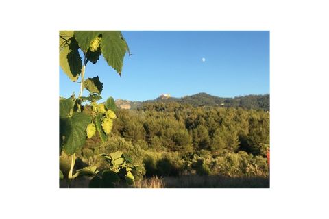 Farm i Sintra, Lisbon, Sintra - € 320.000 | Ref: MAS_2202 - foto 1