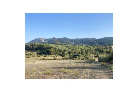 Farm i Sintra, Lisbon, Sintra - € 320.000 | Ref: MAS_2202 - foto 2