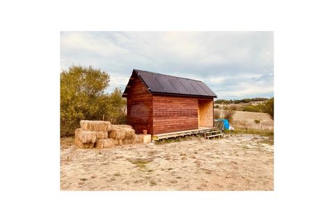 Farm i Sintra, Lisbon, Sintra - € 320.000 | Ref: MAS_2202 - foto 5