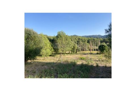 Farm i Sintra, Lisbon, Sintra - € 320.000 | Ref: MAS_2202 - foto 9