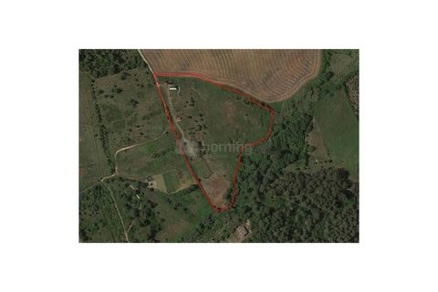 Farm i Sintra, Lisbon, Sintra - € 320.000 | Ref: MAS_2202 - foto 15