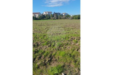 Helårsgrund i Maia, Porto, Maia - € 499.000 | Ref: 120781426-31 - foto 3