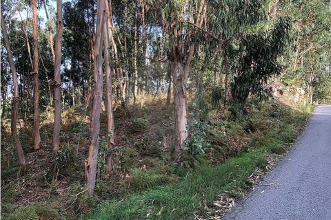 Helårsgrund i Ferreiros, Braga, Ferreiros - € 70.000 | Ref: 120781330-62 - foto 3