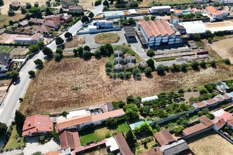 Tomt i Mealhada, Aveiro, Mealhada - € 450 000 | Ref: ZMPT574541 - foto 2