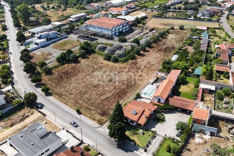 Tomt i Mealhada, Aveiro, Mealhada - € 450 000 | Ref: ZMPT574541 - foto 4