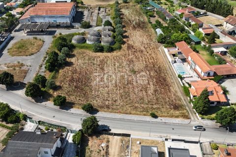 Tomt i Mealhada, Aveiro, Mealhada - € 450 000 | Ref: ZMPT574541 - foto 5
