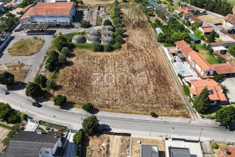 Tomt i Mealhada, Aveiro, Mealhada - € 450 000 | Ref: ZMPT574541 - foto 6