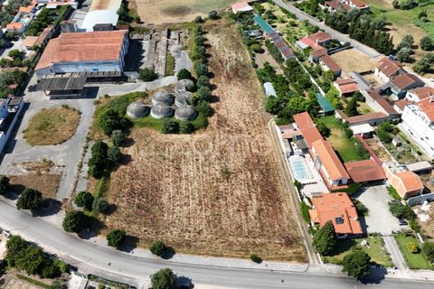 Tomt i Mealhada, Aveiro, Mealhada - € 450 000 | Ref: ZMPT574541 - foto 8