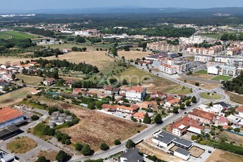 Tomt i Mealhada, Aveiro, Mealhada - € 450 000 | Ref: ZMPT574541 - foto 9