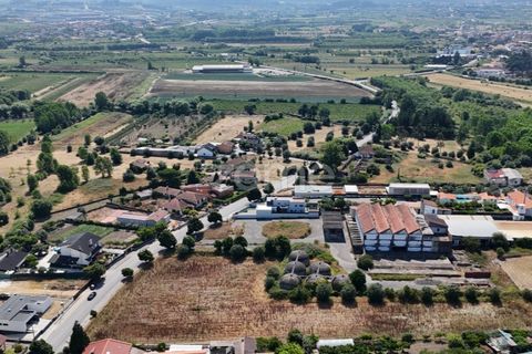 Tomt i Mealhada, Aveiro, Mealhada - € 450 000 | Ref: ZMPT574541 - foto 11