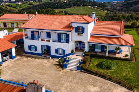Villa i Alcobaca, Leiria, Alcobaca - € 540.000 | Ref: ZMPT574964 - foto 47