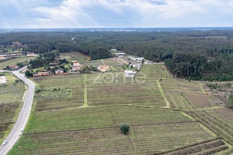 Terra a Ourenta, Coimbra, Ourenta - € 68.000 | Ref: ZMPT574574 - foto 2