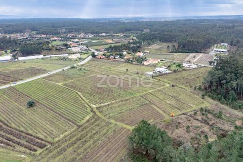 Terra a Ourenta, Coimbra, Ourenta - € 68.000 | Ref: ZMPT574574 - foto 3