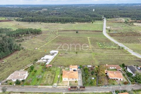 Terra a Ourenta, Coimbra, Ourenta - € 68.000 | Ref: ZMPT574574 - foto 6